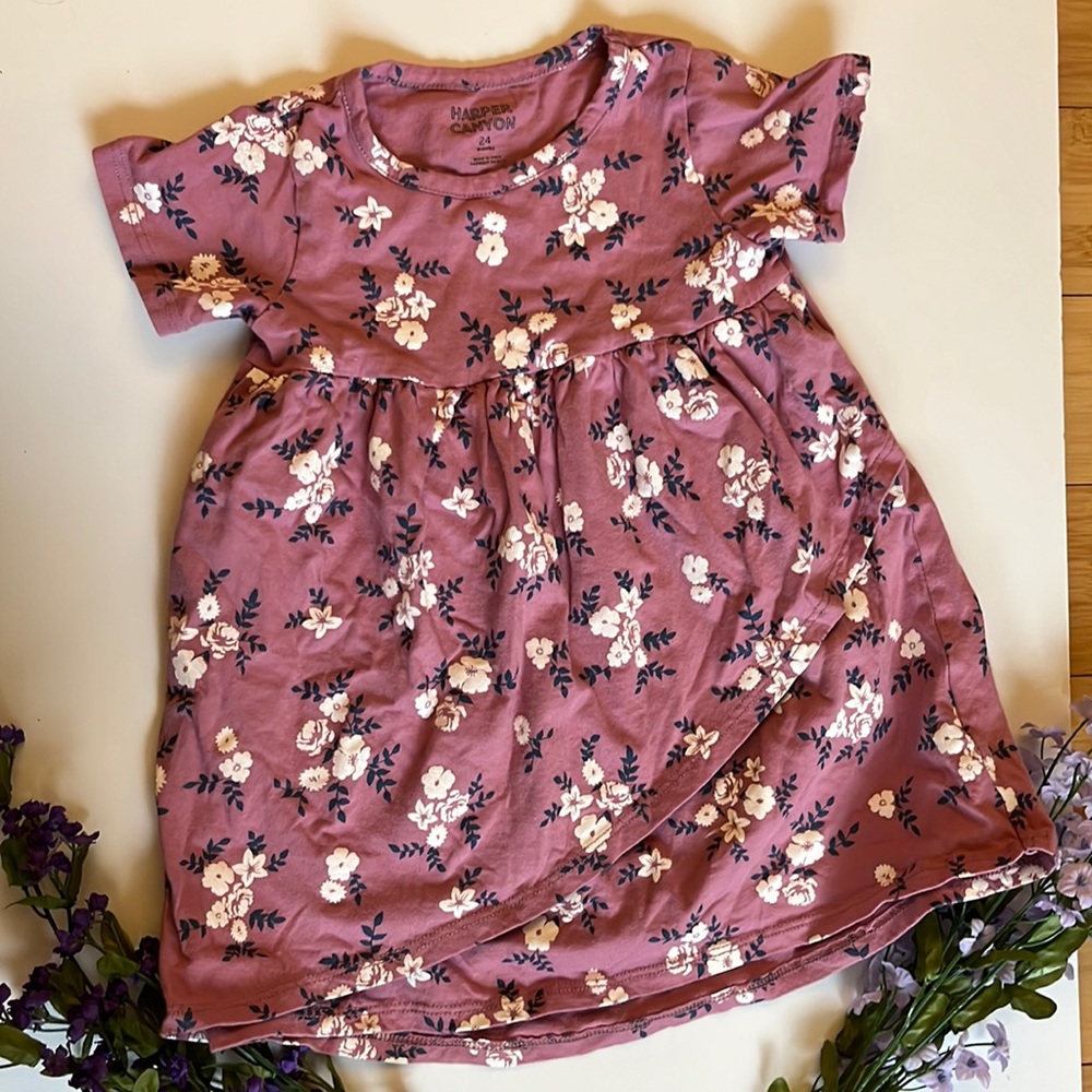GENTLY WORN 24mo HARPER CANYON pink floral dress. Perfect for summer!